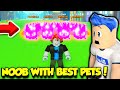 NOOB With BEST Dark Matter MYTHICAL PETS IN Roblox Pet Simulator X!