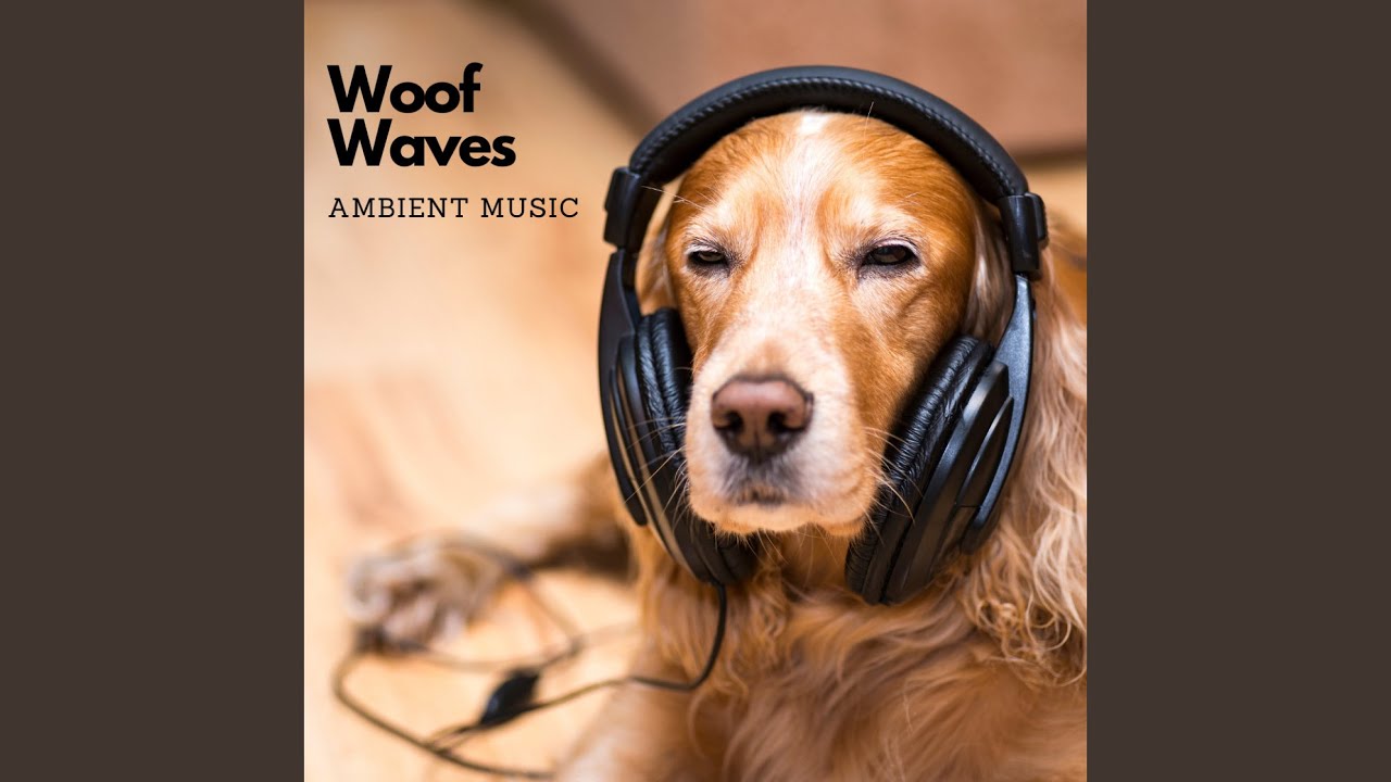 Ambient Music Puppy Pulse