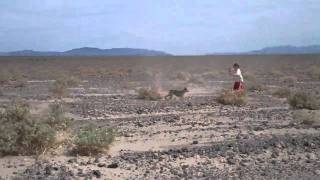 Chasing/catching dust devils Net Worth