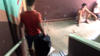 IMG 6795