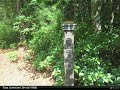 336 Asbury Trace