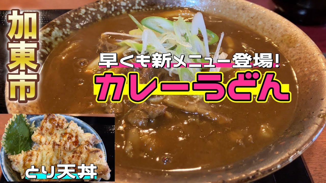 Hyogo Prefecture Lunch] A new udon restaurant that opened in