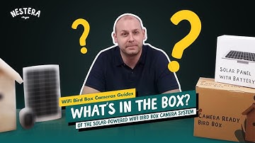 Nestera Solar-Powered WiFi Bird Box Camera System | What
