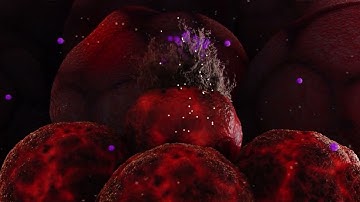 The Brain Tumor Center: Precision Immunotherapy Program