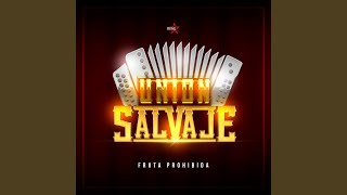 Video thumbnail of "Unión Salvaje - Cumbia para Gozar"