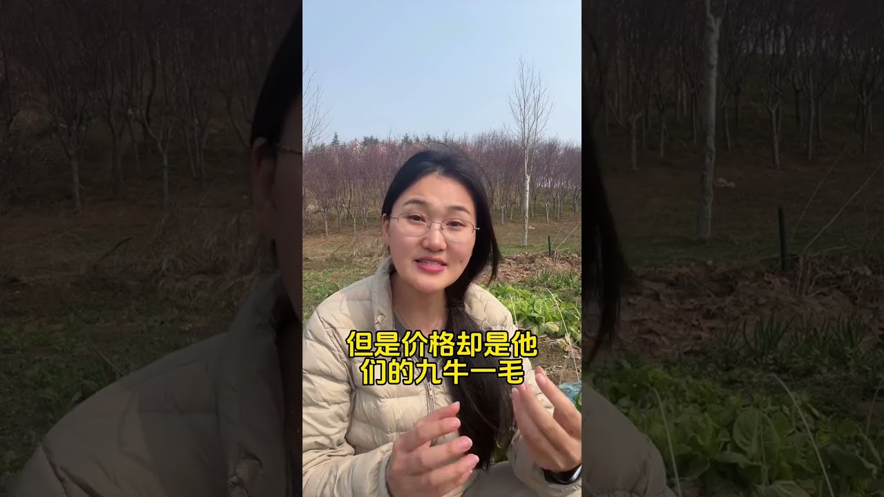 Top Cucumber Cultivation Tips for Farmers - Boost Your Harvest