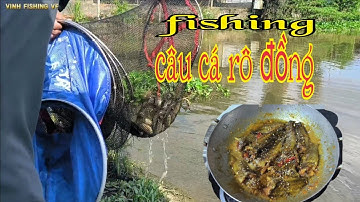 fishing câu cá rô đồng như câu game Đông Thạnh hốc môn #vinhfishingvf
