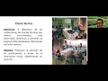 Métodos de extensión rural comunitaria parte  2