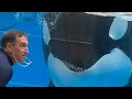 Orca Encounter (Large Trua) Nov 28, 2023 - SeaWorld Orlando