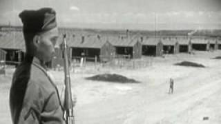 Korematsu V. United States, Part 1 Of 2, From Thinkwells American Government