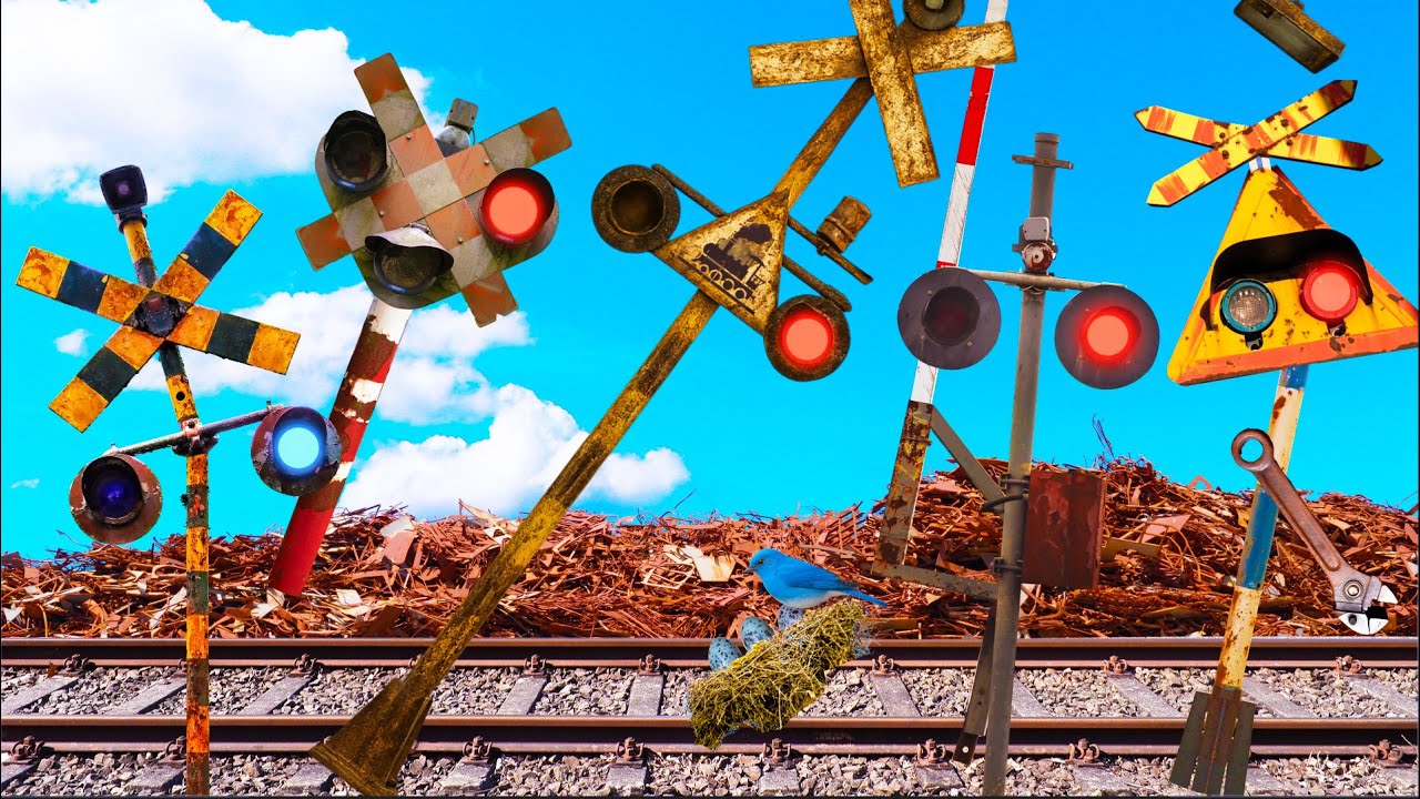 The Railroad Crossing That Was Abandoned for Years and Turned into a Tree