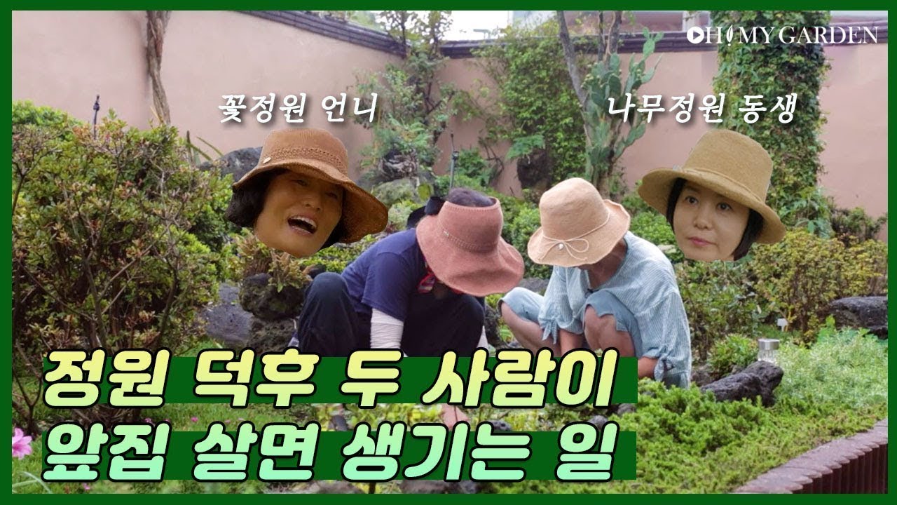 [정원의 발견] 외도동 마주보는 정원 A Facing Garden  | KBS제주 20200925 방송