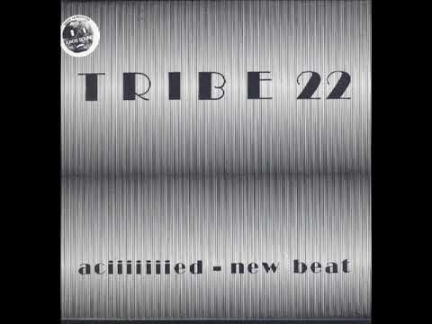 Tribe 22 — Tribe 22   Aciiiiiiied   New Beat