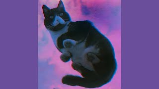 Purple Skies  Cyter slowed