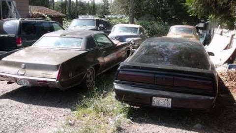 My 1991 Pontiac Firebird S.E.