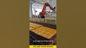 Warehouse Automation is INSANE 😮 See How Fast it Loads #IndustrialRobot