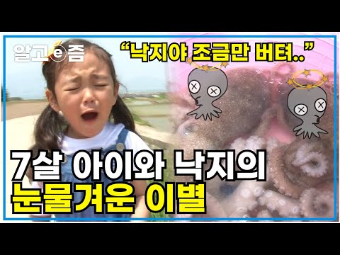 7살 아이가 <strong>갯벌에서</strong> 잡은 낙지가 죽어가자 살려내기 위해 한 노력┃엄마 없이 살아보기┃알고e즘
