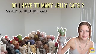 MASSIVE jelly cat Collection // names and more // orane