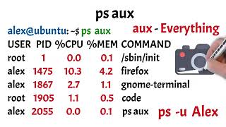 Getting Started with Linux CLI  Must Know Commands   Linux Basics CUT 12'00 22'36