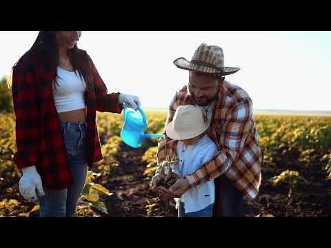 Part 4 — Biochar in Agriculture