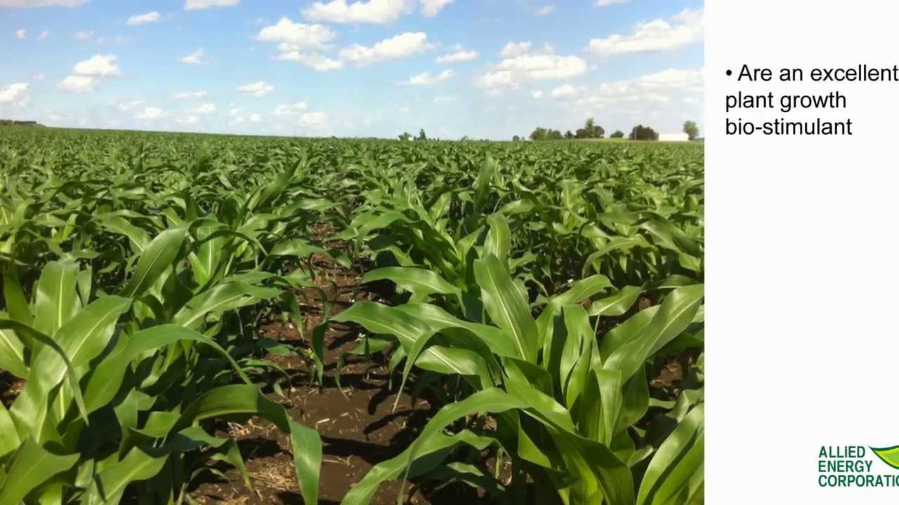 An Effective Soil Enhancer- Allied Energy Corp