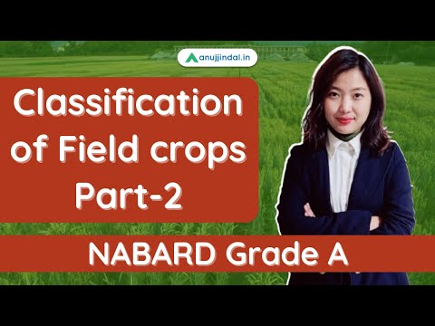 NABARD Grade A