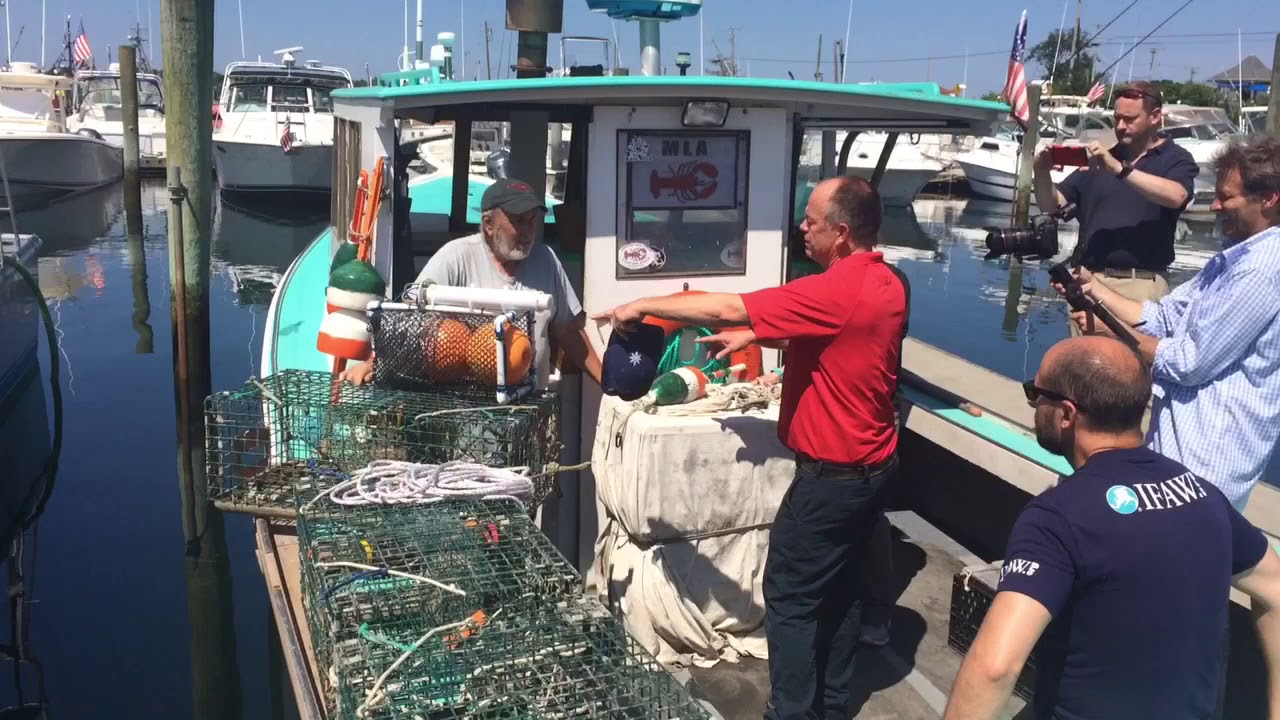 Better Lobster Trap YouTube