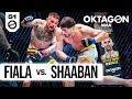 Harter knockout  fiala vs shaaban  free fight  oktagon 51