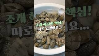 조개 해감의 핵심은 따로 있어요?!