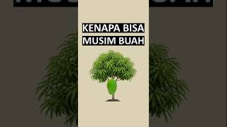 Who has a mango, rambutan, or durian tree? 😎✋