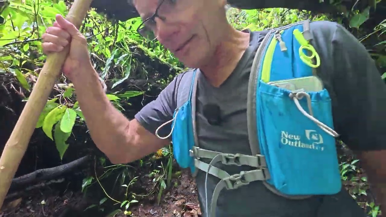 Sendero Secreto en la Selva Costarricense