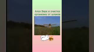 Третий секрет красоты и молодости лица