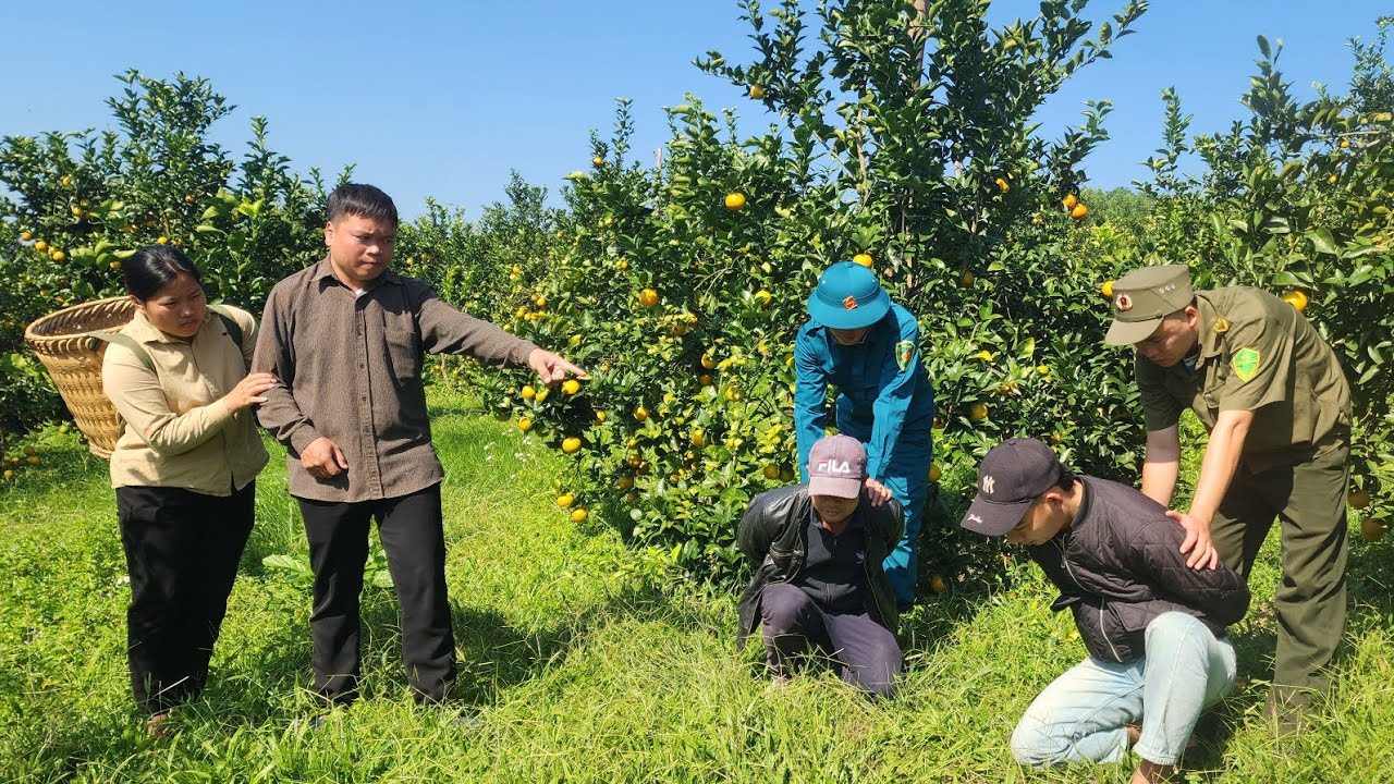Бесстрашная: мать-одиночка раскрывает преступления двух известных бандитов.