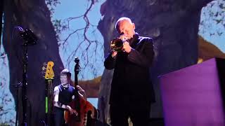 Flea - Wichita Lineman (w/o Nick Cave) - Webster Hall, New York NY US 2026-05-12 front row 1080 HD