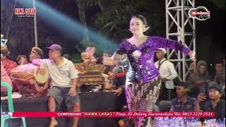 SINDEN YANG LAGI VIRAL NIKEN SALINDRY GELANG ALIT