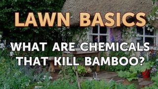 What Are Chemicals That Kill Bamboo?