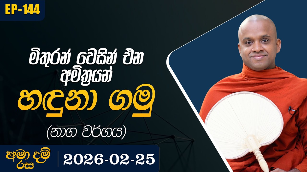 144. මිතුරන් වෙසින් එන අමිත්‍රයන් හඳුනා ගමු (නාග වර්ගය) | අමා දම් රස | 2026-02-25