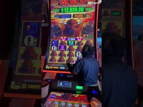 TORITO LEON DE NUEVO GANANDO SLOTS MEXICO$$$$$$PUMPKIN PATCH PLAYDOIT