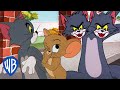 Tom y Jerry en Latino | Lo mejor del gato Tom 🐱💙 | @WBKidsLatino