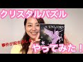 【挑戦】クリスタルパズルやってみた！！