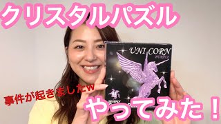 【挑戦】クリスタルパズルやってみた！！