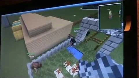 Minecraft by Tristan and Nikolaj