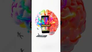 Transform Your Phone: Go Grayscale to Beat Addiction!