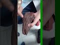FemaleтЩАя П Reproductive Organs Neet Mbbs Trending ЁЯФеЁЯФеЁЯШ ЁЯШ ЁЯШ ЁЯШ ЁЯШ ЁЯШ ЁЯШ ЁЯШ ЁЯШ ЁЯШ ЁЯШ ЁЯШ ЁЯШ ЁЯШ ЁЯШ ЁЯШ FemaleтЩАя П Reproductive Organs Neet Mbbs Trending ЁЯФеЁЯФеЁЯШ ЁЯШ ЁЯШ ЁЯШ ЁЯШ ЁЯШ ЁЯШ ЁЯШ ЁЯШ ЁЯШ ЁЯШ ЁЯШ ЁЯШ ЁЯШ ЁЯШ ЁЯШ