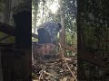 Reconstrução da Mesa - Downhill