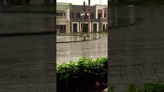 बारिश में दिल का मौसम ☔#RainVideo #Barish #MonsoonVibes #RainStatus #TrendingNow #ViralVideo