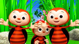 Ladybug Adventures|  Little Baby Bum  Preschool Playhouse
