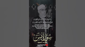 قارئ يروي القلوب بصوته وأدائـه .. تلاوة رائعة للمعلم ♥