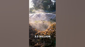 How Composting Helps the Environment