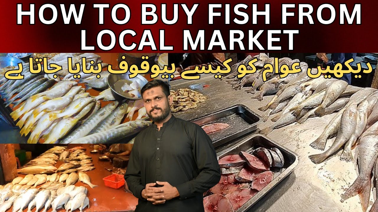 How to buy Fish from Pakistan's Fish Market Karachi Fishery Karachi